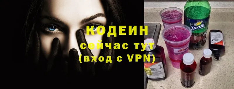 Кодеиновый сироп Lean напиток Lean (лин)  darknet какой сайт  mega   Камышлов  купить закладку 