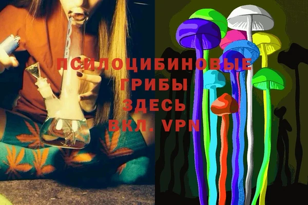 прущие крисы Медногорск