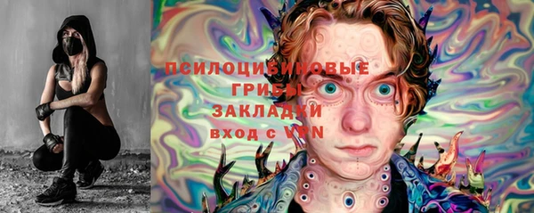 гидра Михайлов