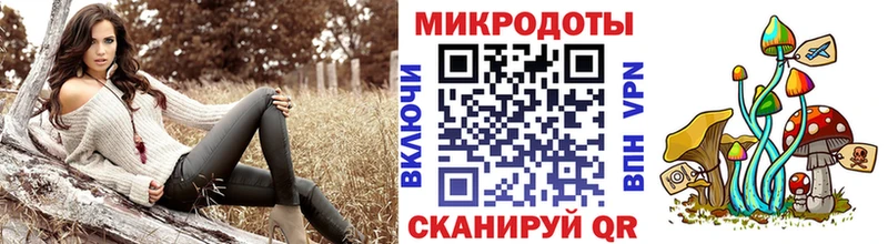 Галлюциногенные грибы мухоморы  Камышлов 