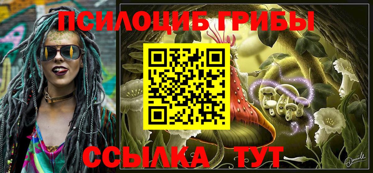 Галлюциногенные грибы Cubensis  Камышлов 