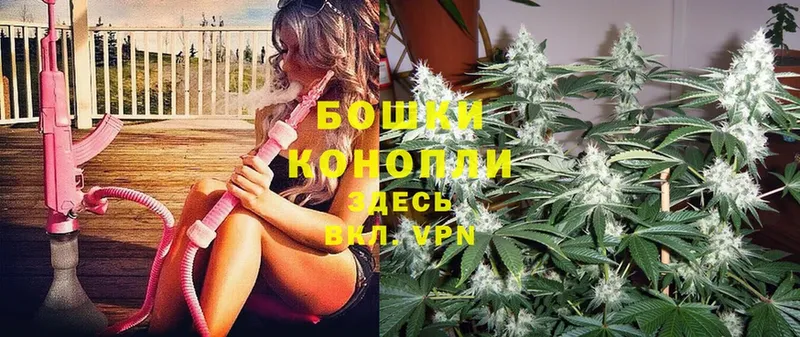 купить наркотик  МЕГА ссылки  Конопля Ganja  Камышлов 