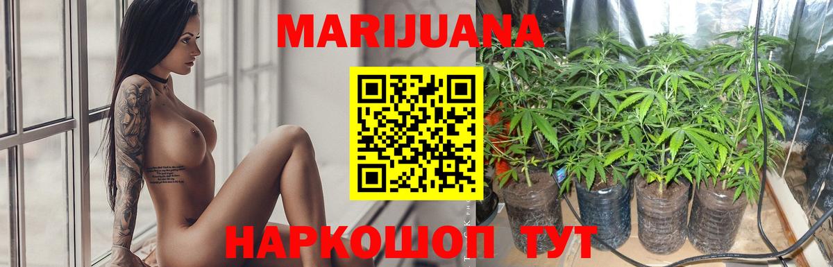 Канабис сатива  Канабис MAZAR  Бошки марихуана марихуана  Вход с VPN  Камышлов 